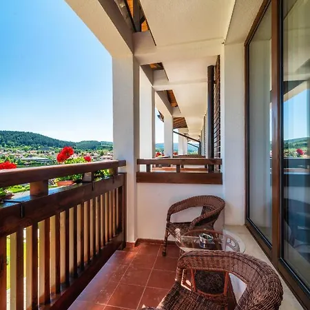 Complex Spring Belchin