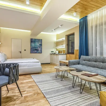 Otel Complex Spring Belchin