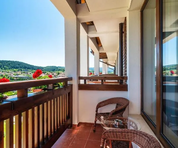 Complex Spring Belchin