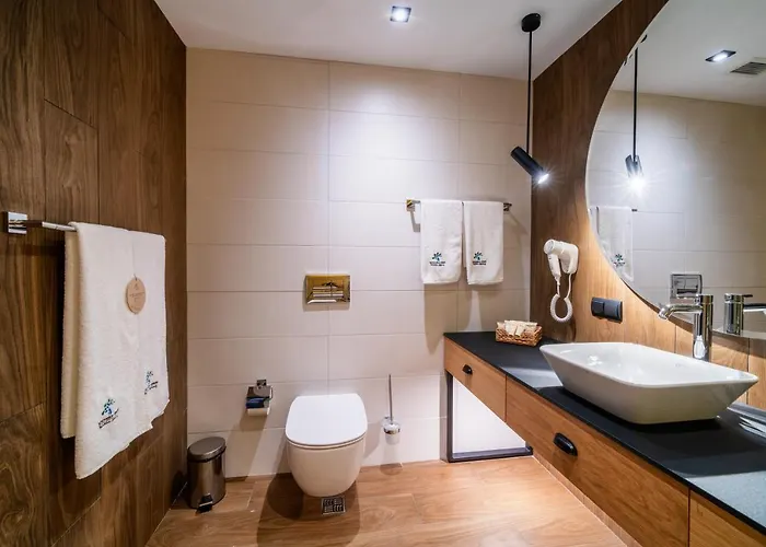 Complex Spring בלצ'ין