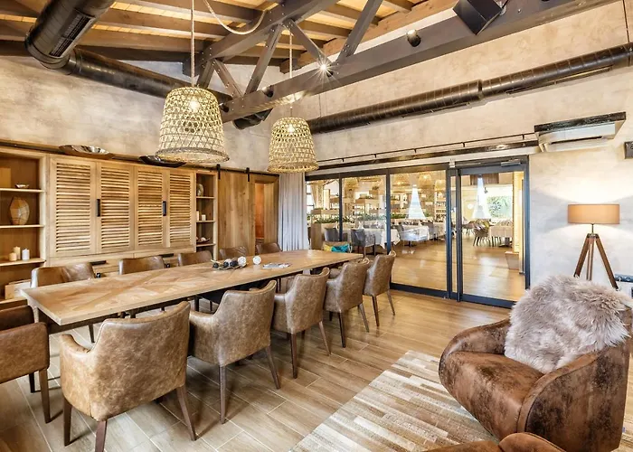 Complex Spring Belchin